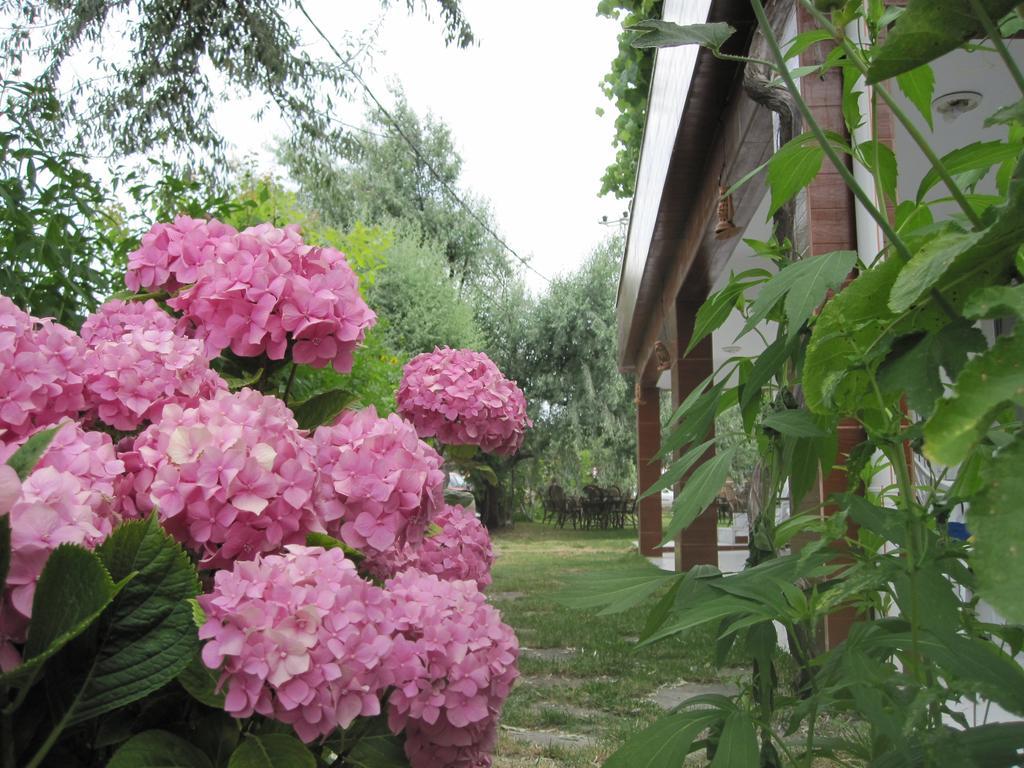 Uysallar Koy Evi Gokceada Exterior photo